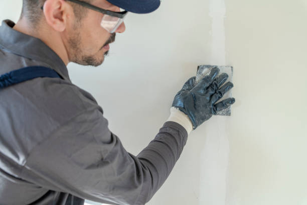 Best Mold Remediation for Vacation Homes  in Johns Creek, GA