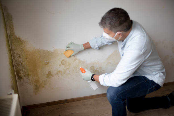 Best Mold Remediation for Healthcare Facilities  in Johns Creek, GA