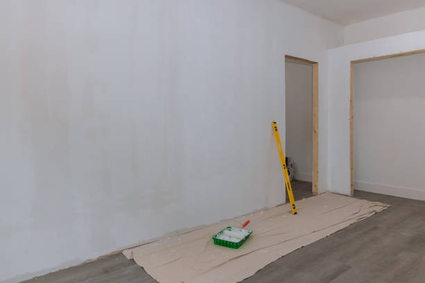 Best Black Mold Removal  in Johns Creek, GA