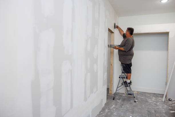 Trusted Johns Creek, GA Mold Removal Experts