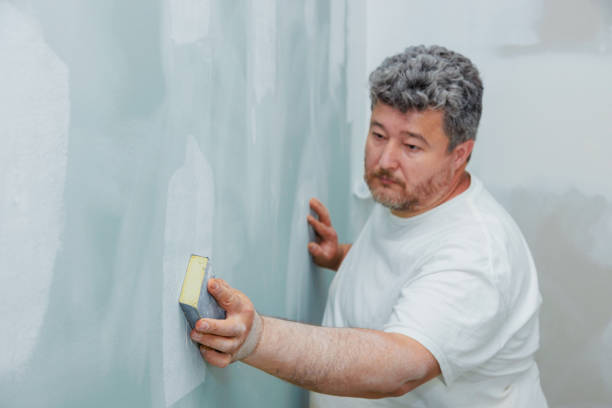 Mold Documentation for Insurance Claims in Johns Creek, GA
